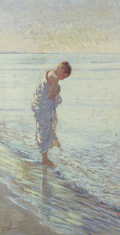 Een Schelp, 1895 door Niccolo Cannicci